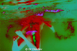 Dr onacloV is a visual artist see www.onaclov.net by Dr Onaclov 